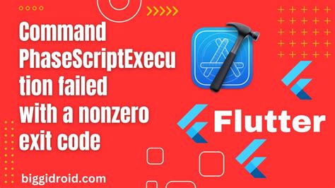 xcode command phasescriptexecution failed